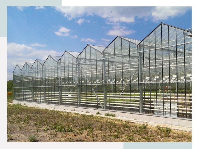 Строительство теплиц в Тутаев от 629 руб. за м²