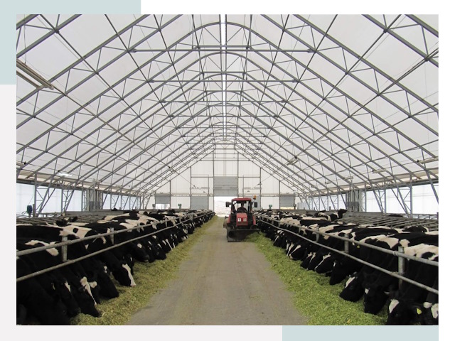 Тентовые коровники в Тутаеве от 629 руб. - Надежно и доступно